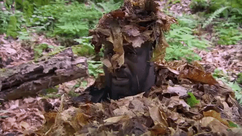 shaq GIF