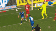 Happy Celebration GIF by MolaTV