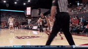 gostanford  GIF