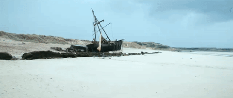 slack bay GIF by Kino Lorber