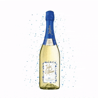 bottle GIF by Jules Mumm