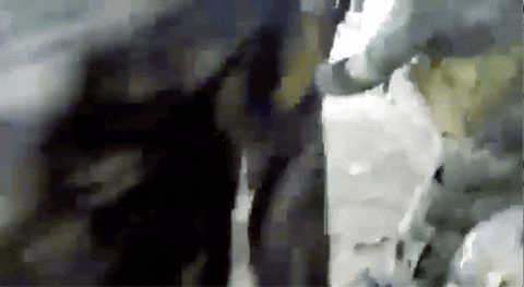 giphyupload GIF