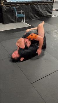 Bjj Jiujitsu GIF by Droogs MMA and Jiu Jitsu