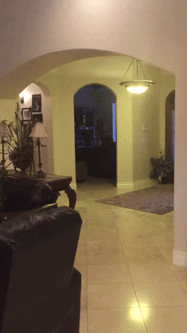 Star Wars Force GIF