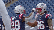 Happy Football GIF by New England Patriots