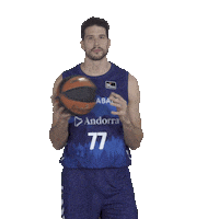 Liga Endesa Sport Sticker by ACB