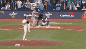 Blue Jays Baseball GIF by Toronto Blue Jays