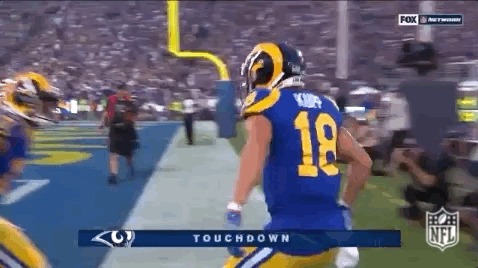 2018 Nfl Football GIF by NFL