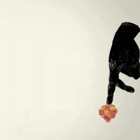 hand GIF by JordanBruner