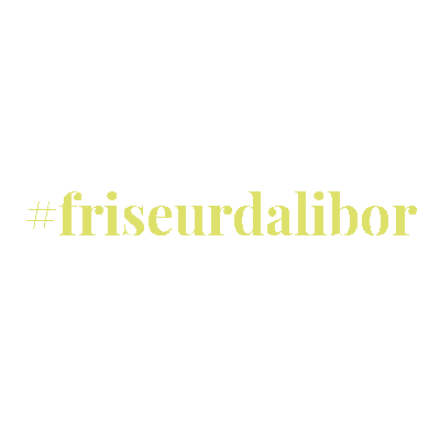 friseurdalibor giphyupload ohrdorf beetzendorf wesendorf Sticker