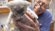 season 8 DRPOL GIF by Nat Geo Wild 