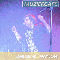 GIF by NPO Radio 2