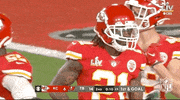 Super Bowl Football GIF by NFL