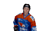 unisflyers goal eagles flyers nederland Sticker