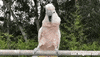 GIF by Los Angeles Zoo and Botanical Gardens