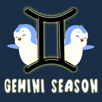 Penguin Twins GIF by Pudgy Penguins