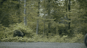Living Music Video GIF by Dierks Bentley