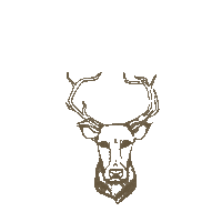Shop Now Sticker by Buck's Hard Goods