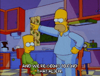 homer simpson episode 10 GIF