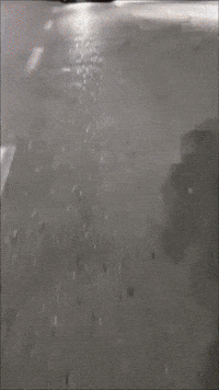 Gentra GIF