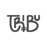 Sinergia_Tribu tribu sinergia sinergia tribu sinergiatribu Sticker