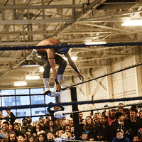 Flip Gymnastics GIF by wade.photo