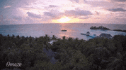 surf maldives GIF by Omaze