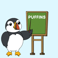 Learn Back To School GIF by Puffins