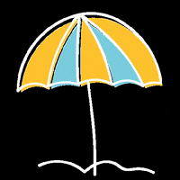 pdvargentina pdvargentina GIF