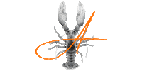 Am Lobster Sticker by Les Patrons Cuisiniers