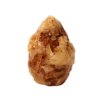 NuttyNutsNuttyNuts 堅果 腰果 杏仁果 風味腰果 Sticker