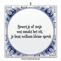 Nl Spreuk GIF by Tegelspreuken.nl