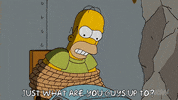 Episode 19 GIF by The Simpsons