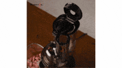 Kuvings kuvings GIF