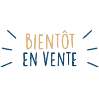 Immobilier Maison Sticker by lagencerie