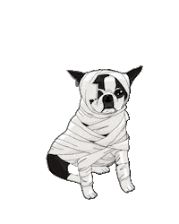 Puppy Halloween Animals Sticker by Solla Mascotas