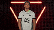 Vfl Wolfsburg Cheering GIF by Bundesliga