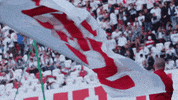 Football Flags GIF by LKS Lodz