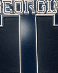 Georgia Tech Baseball GIF by Georgia Tech Yellow Jackets