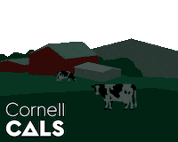 Cals Sticker by Cornell University