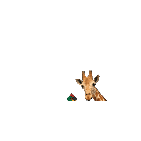 MelanatedSafaris giphygifmaker africa giraffe safari Sticker