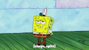 season 9 GIF by SpongeBob SquarePants