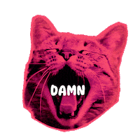 Cat Love Sticker by Seorang Zaki