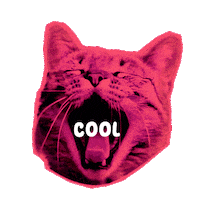 Cat Love Sticker by Seorang Zaki