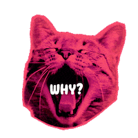 Cat Love Sticker by Seorang Zaki