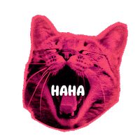 Cat Love Sticker by Seorang Zaki