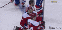 ice hockey GIF by NHL