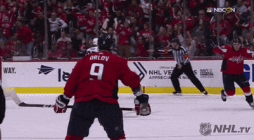 happy ice hockey GIF by NHL