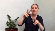 Asl Wow GIF