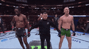 Mixed Martial Arts Sport GIF by UFC